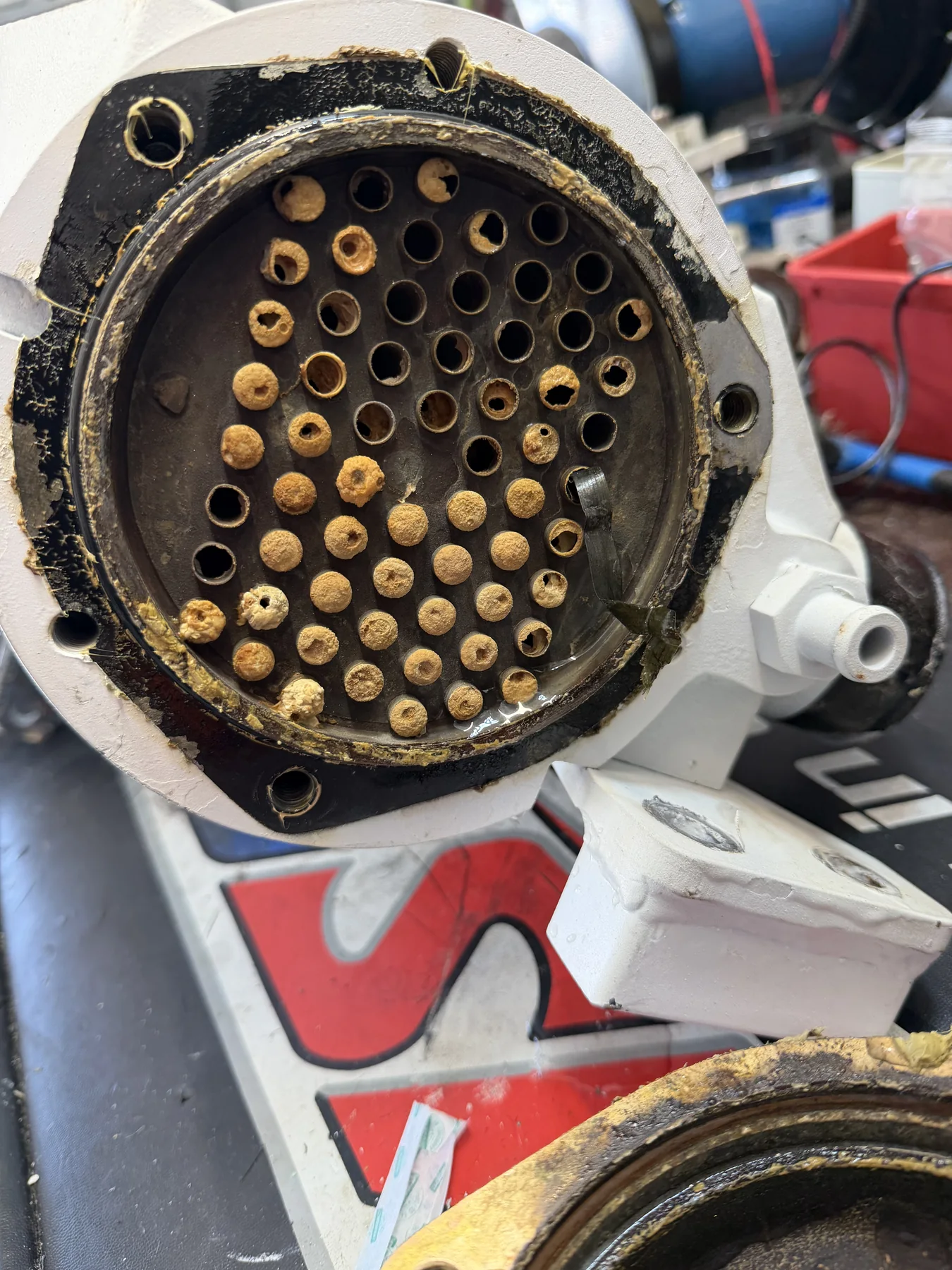 Open marine heat exchanger with heavy deposits across many tube openings.